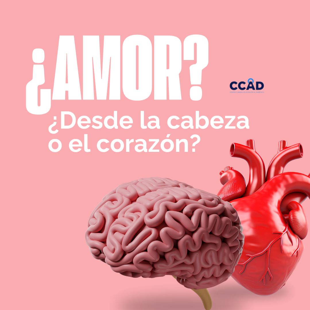 ¿NOS ENAMORAMOS CON LA CABEZA O CON EL CORAZÓN?