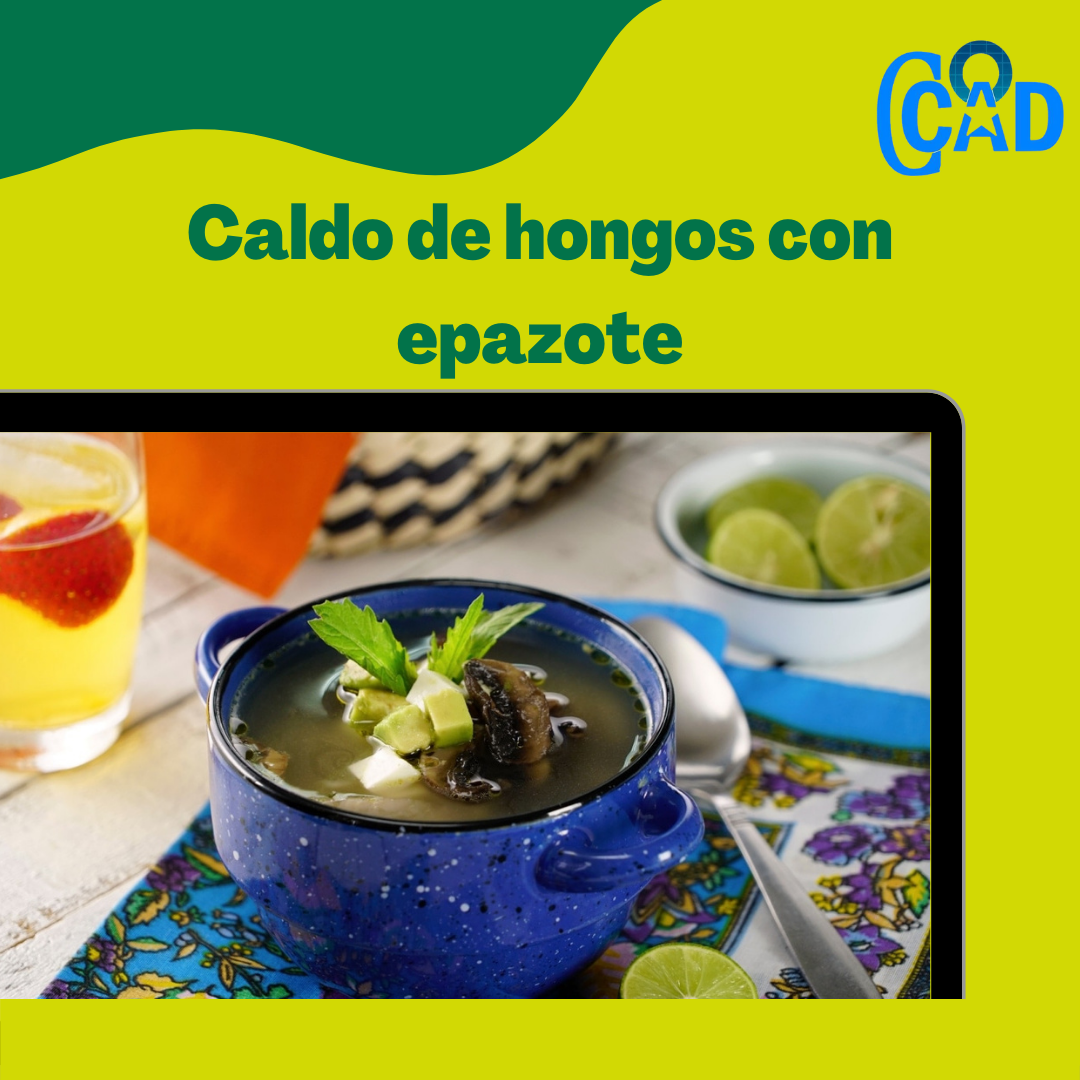 Nuestra cocina. Caldo de hongos con epazote