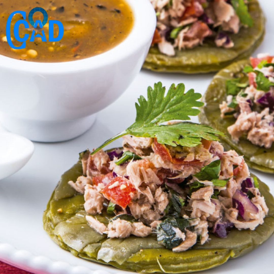 Nuestra cocina. Sopesitos de atún con nopal